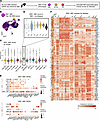 EBV-associated gene expression signatures by B subset, disease, and clinica