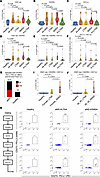 Flow cytometry validation of peripheral ABC expansion and immune checkpoint