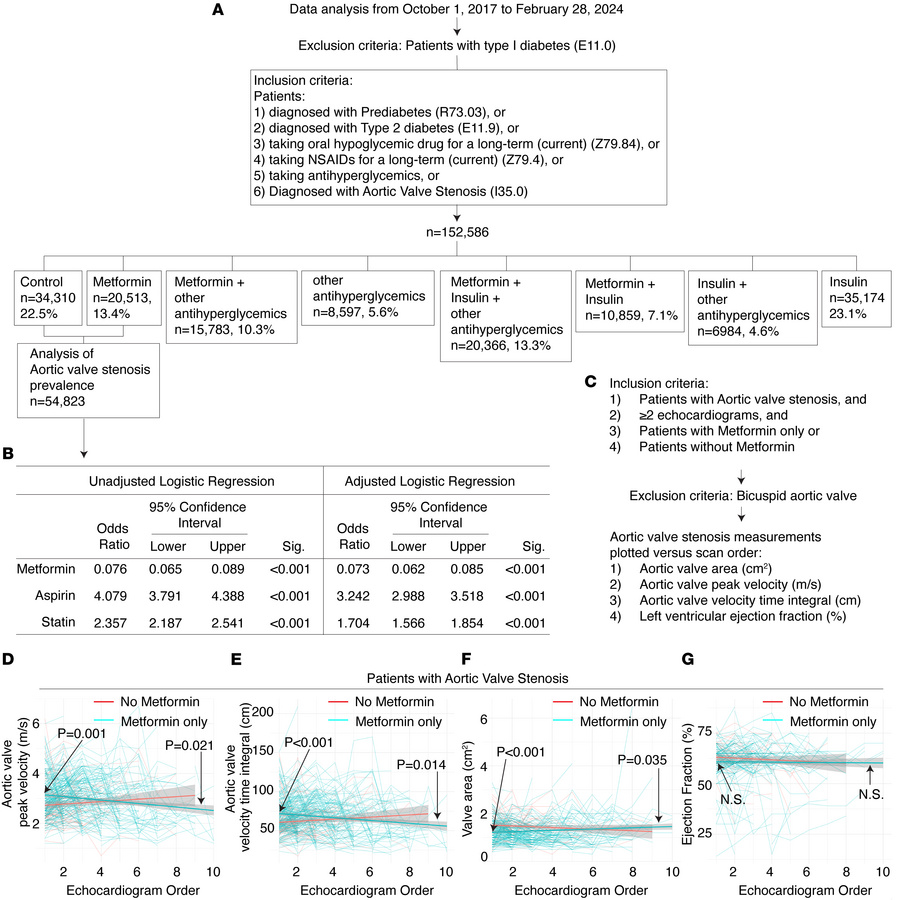 Metformin use is associated with reduced prevalence and slower progressi...