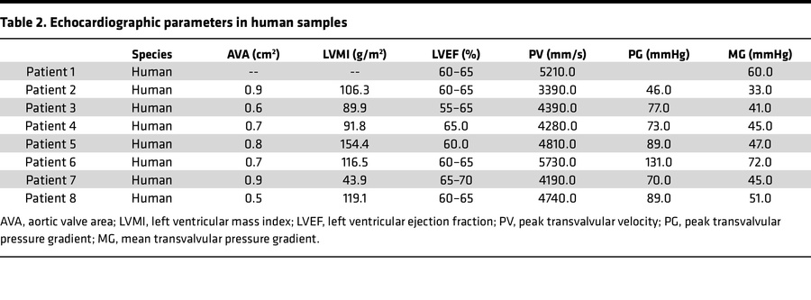 Echocardiographic parameters in human samples
