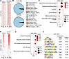 Hdac3 and phospho-Hdac3 localize to mitochondrial gene promoters to restric