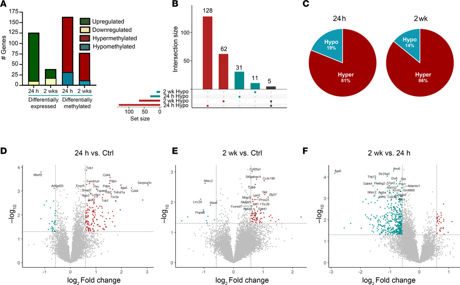 Epilepsy development and progression is associated with altered m6A depo...