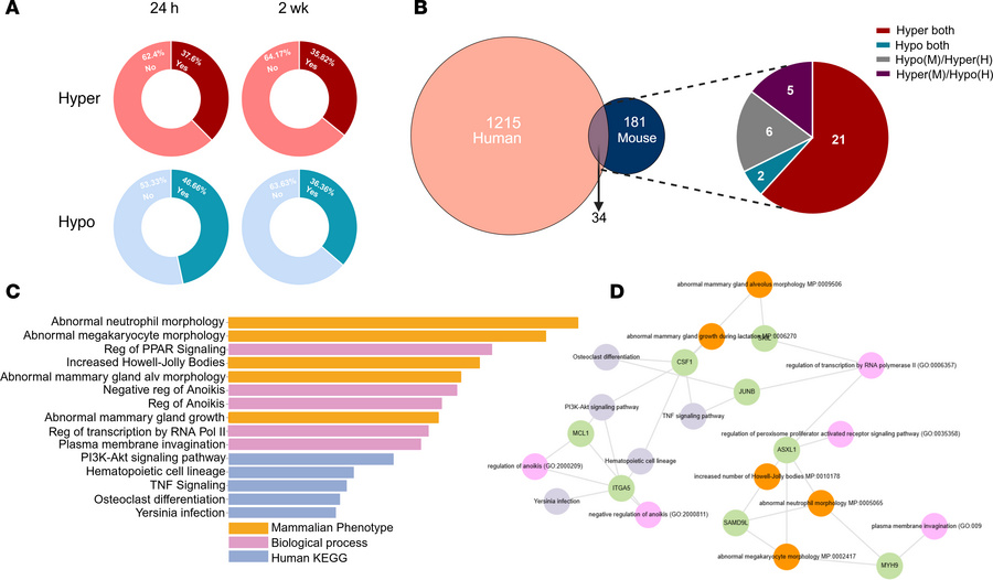 Commonly differentially methylated transcripts in mouse and human are li...