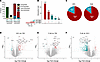 Epilepsy development and progression is associated with altered m6A deposit