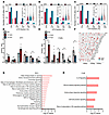 Disrupted m6A deposition is associated with epilepsy-associated pathways in