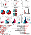 The m6A epitranscriptome is extensively disrupted in human TLE.