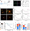 m6A regulates neuronal structure and network activity.