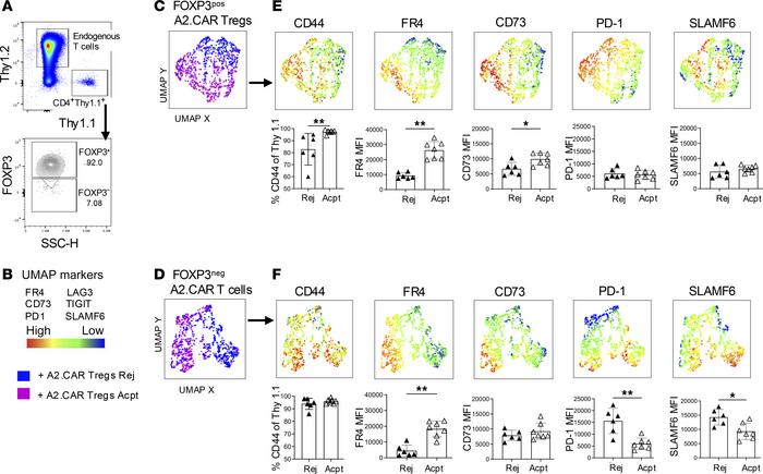 FOXP3pos and FOXP3neg A2.CAR T cells in the SLOs are phenotypically dist...