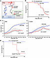 LEC-specific SREBP2 deletion in mice causes postnatal lethality.