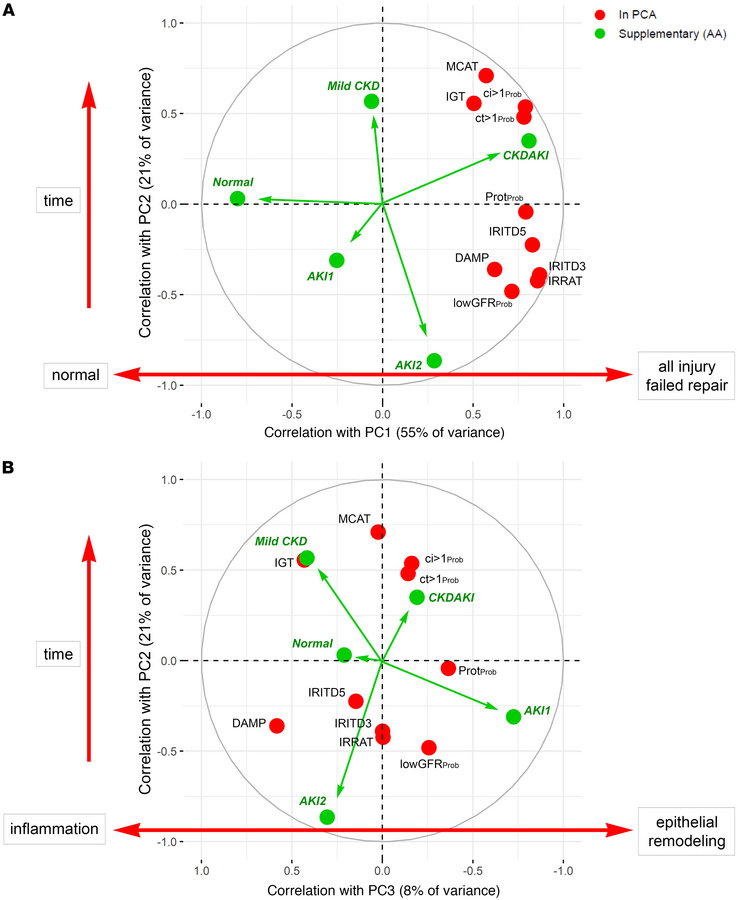 Factor maps in the N = 4,502 kidney transplant biopsy population showing...