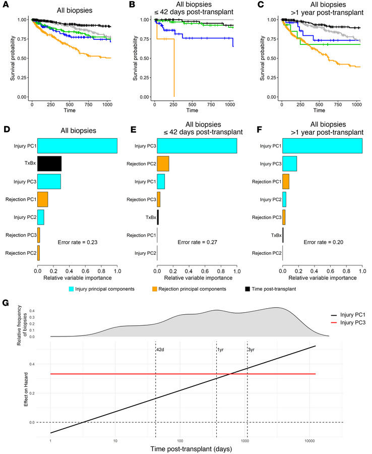 Visualizing the relationship between injury and 3-year postbiopsy death-...