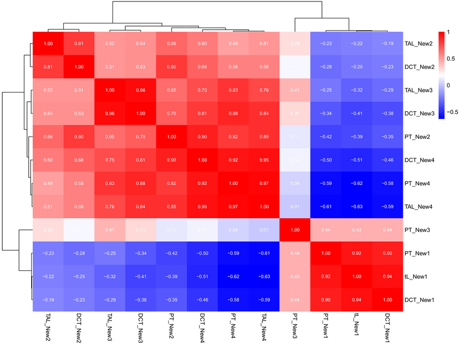 Heatmap showing pairwise Spearman correlations between the PBT scores of...