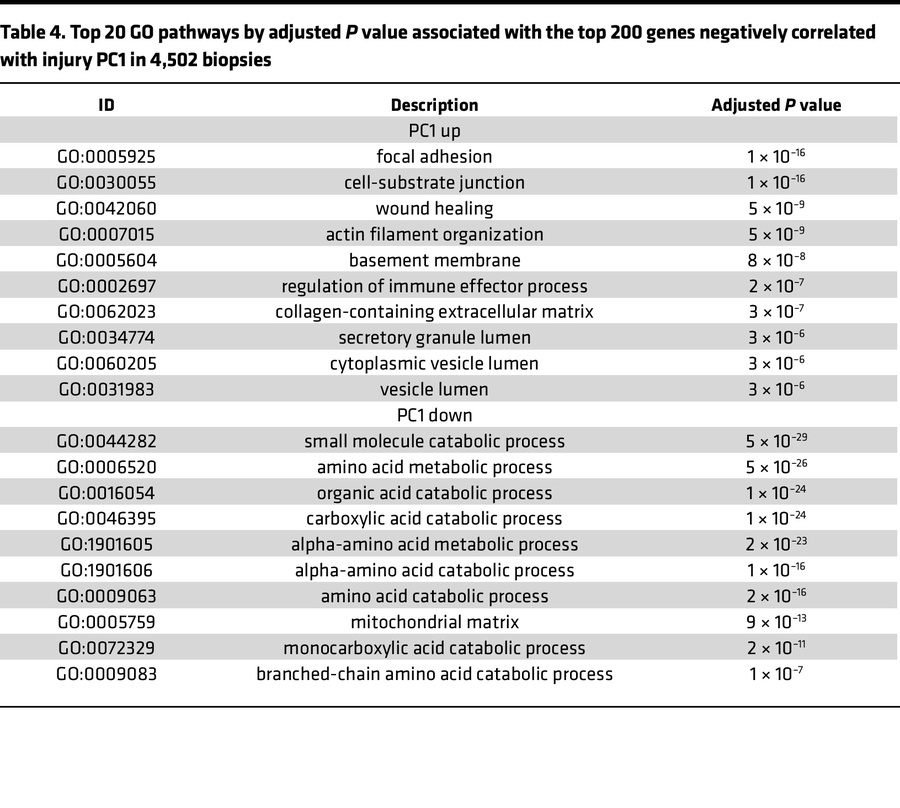 Top 20 GO pathways by adjusted P value associated with the top 200 genes...