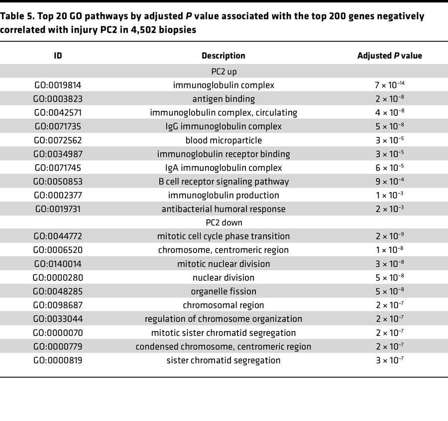 Top 20 GO pathways by adjusted P value associated with the top 200 genes...