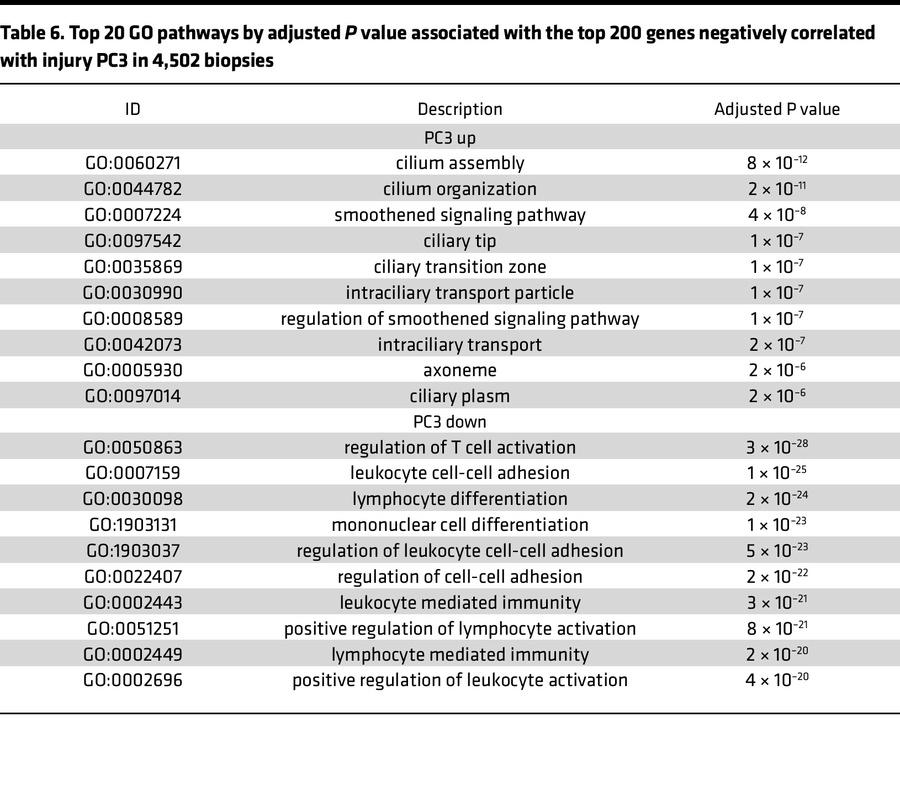 Top 20 GO pathways by adjusted P value associated with the top 200 genes...