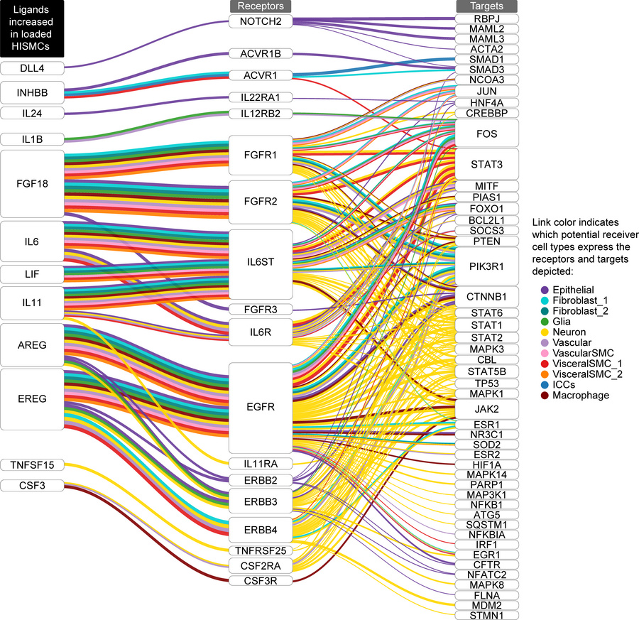 NicheNet ligand-receptor analysis using ligands more abundant in loaded ...