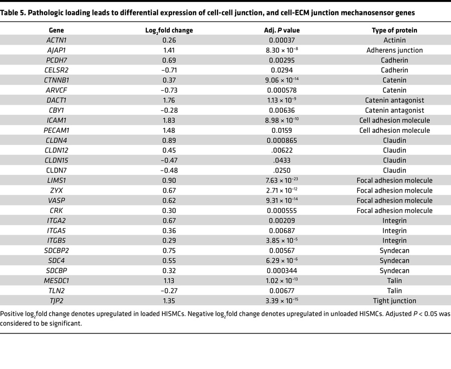 Pathologic loading leads to differential expression of cell-cell junctio...