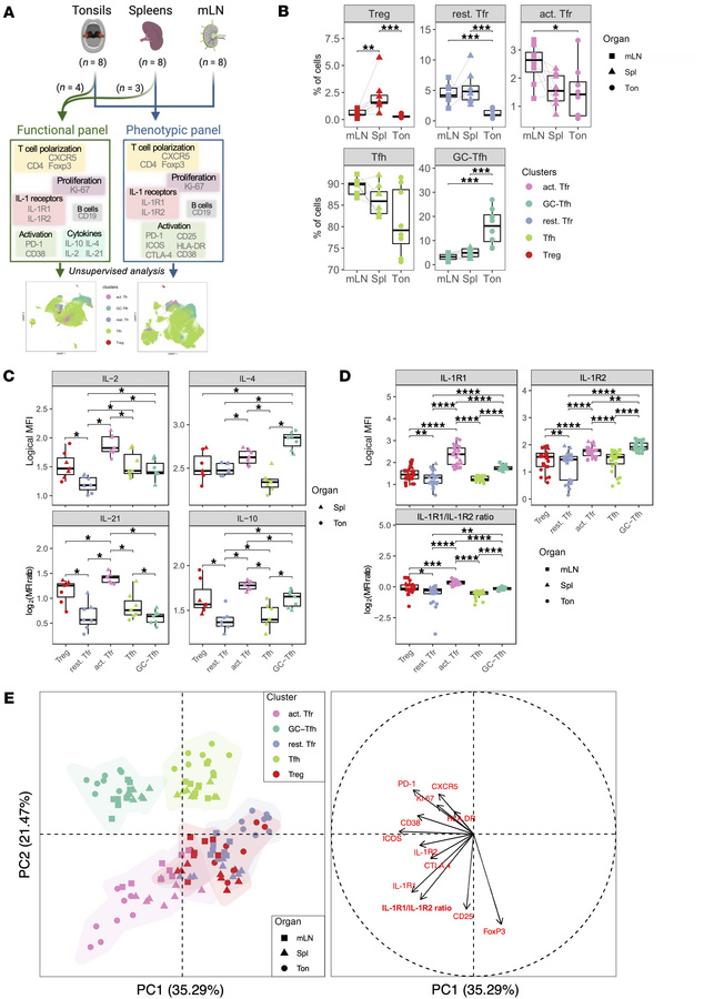 IL-1R1 and IL-1R2 differential expression defines an activated Tfr popul...