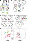 IL-1R1 and IL-1R2 differential expression defines an activated Tfr populati