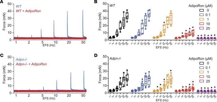 Adiponectin receptor agonist AdipoRon inhibits mouse BSM contractile for...