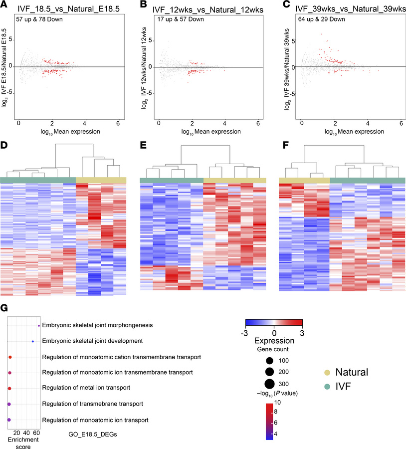Transcriptome analysis of testicular tissues by RNA-Seq.
Volcano plots s...
