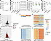 Sperm parameters and testicular DNA methylation.