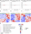 Transcriptome analysis of testicular tissues by RNA-Seq.