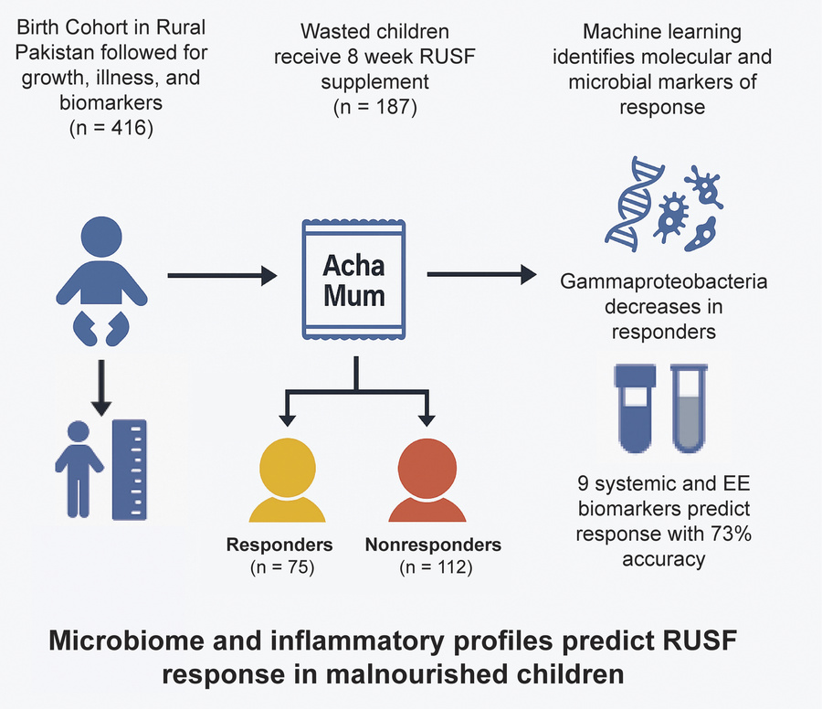 graphical abstract
