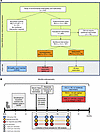 Overview of study design.