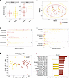Responders and nonresponders harbor distinct fecal microbiota prior to RUSF