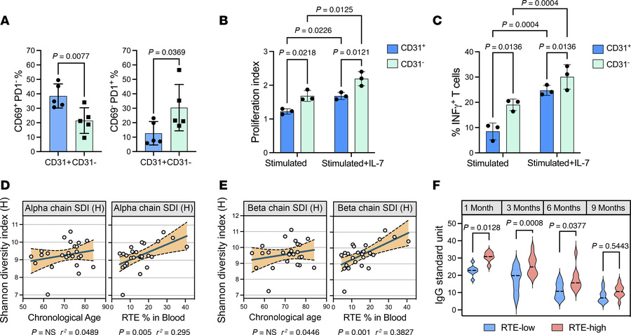 Preserved thymic activity in old patients promotes TCR repertoire divers...