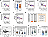 Reduced thymic activity associates with epigenetic age acceleration in old