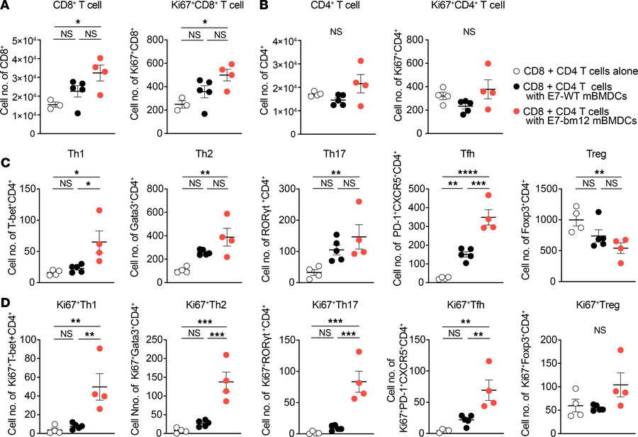 E743–77 peptide–pulsed MHC class II semiallogeneic mature BMDCs expand T...