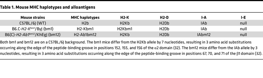 Mouse MHC haplotypes and alloantigens