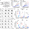 Late Treg depletion enhances the efficacy of the E743–77-pulsed MHC class I