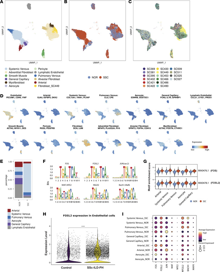 Single-cell multiome sequencing showed enrichment of FOS and FOSL2 motif...