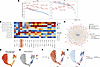 SCENIC+-identified enrichment of FOSL2 eRegulons in SSc-ILD-PH vascular EC