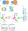 Altered gene regulation in Fra2tg and SSc-ILD ECs.