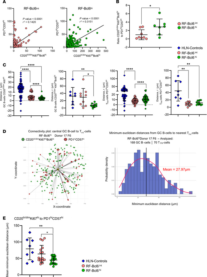 Increasing Bcl6 expression is associated with altered spatial distributi...