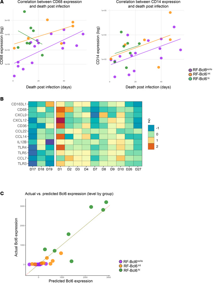 RF-Bcl6no/lo follicles exhibit a distinct in situ macrophage profile in ...