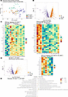 Distinct in situ transcriptomic profiles are associated with RF-Bcl6hi foll
