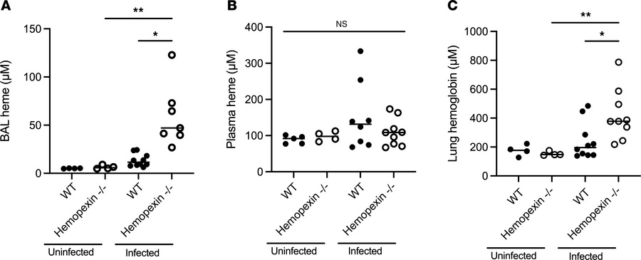 The effect of hemopexin on lung heme and hemoglobin accumulation in aspe...