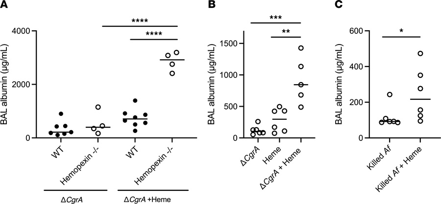 The role of heme in the induction of lung injury in neutropenic aspergil...
