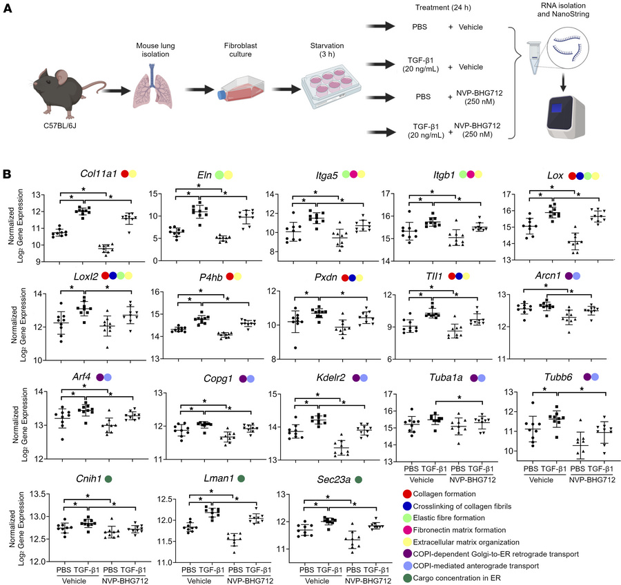 NVP-BHG712 downregulates TGF-β1–induced expression of genes related to E...