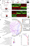 Ephb4-CKO fibrotic mouse lung fibroblasts exhibit unique transcriptomic pro