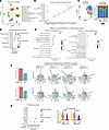 snRNA-Seq profiling of mouse lungs.