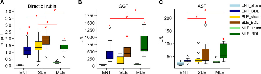 Serum chemistry markers are increased in all groups with BDL.
(A–C) Dire...