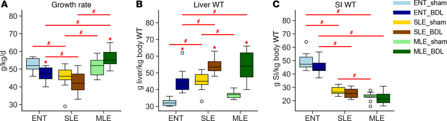 MLE diet leads to greater weight gain during BDL.
(A) Weight gain was me...