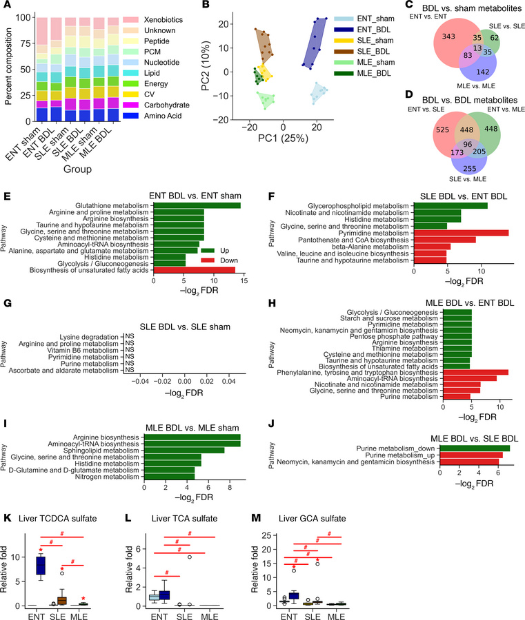 Metabolomics analysis confirms changes in xenobiotic metabolism and iden...