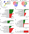RNA-Seq analysis identifies genes’ signature changes in xenobiotic metaboli